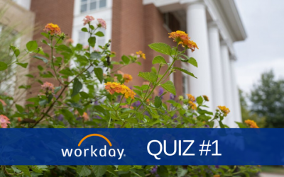 Workday Quiz Contests are Coming Your Way