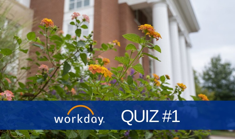 Workday Quiz Contests are Coming Your Way